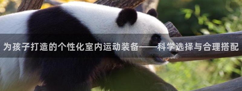 意昂体育4招商电话地址是多少:为孩子打造的个性化室内运动装备